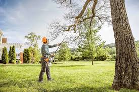 How Our Tree Care Process Works  in Old Orchard, PA